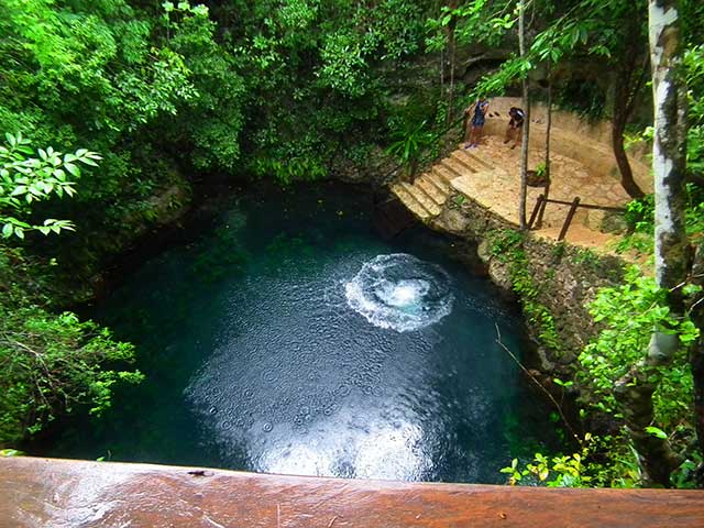 Cenotes Zapote Eco Park