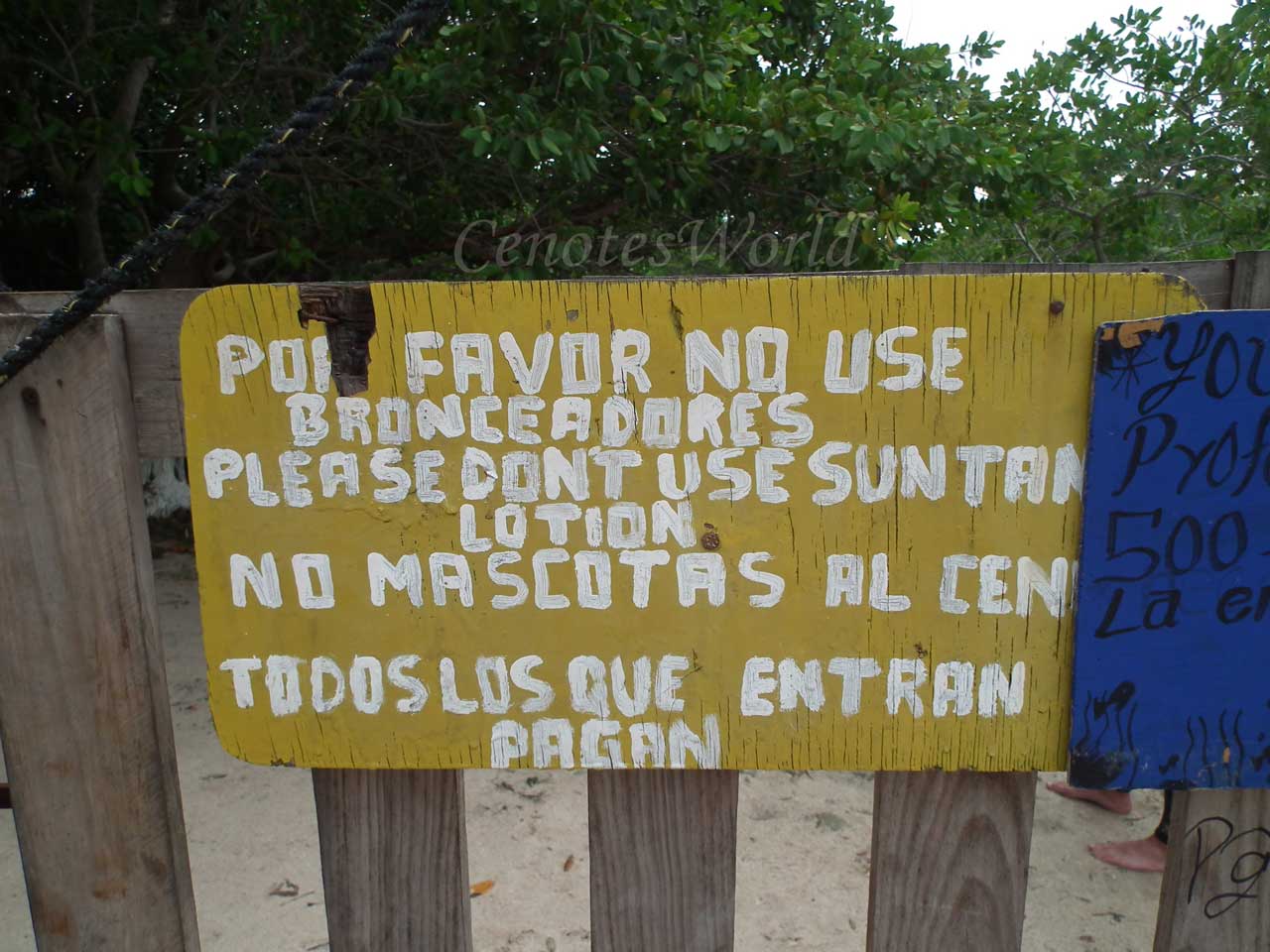 Casa Cenote