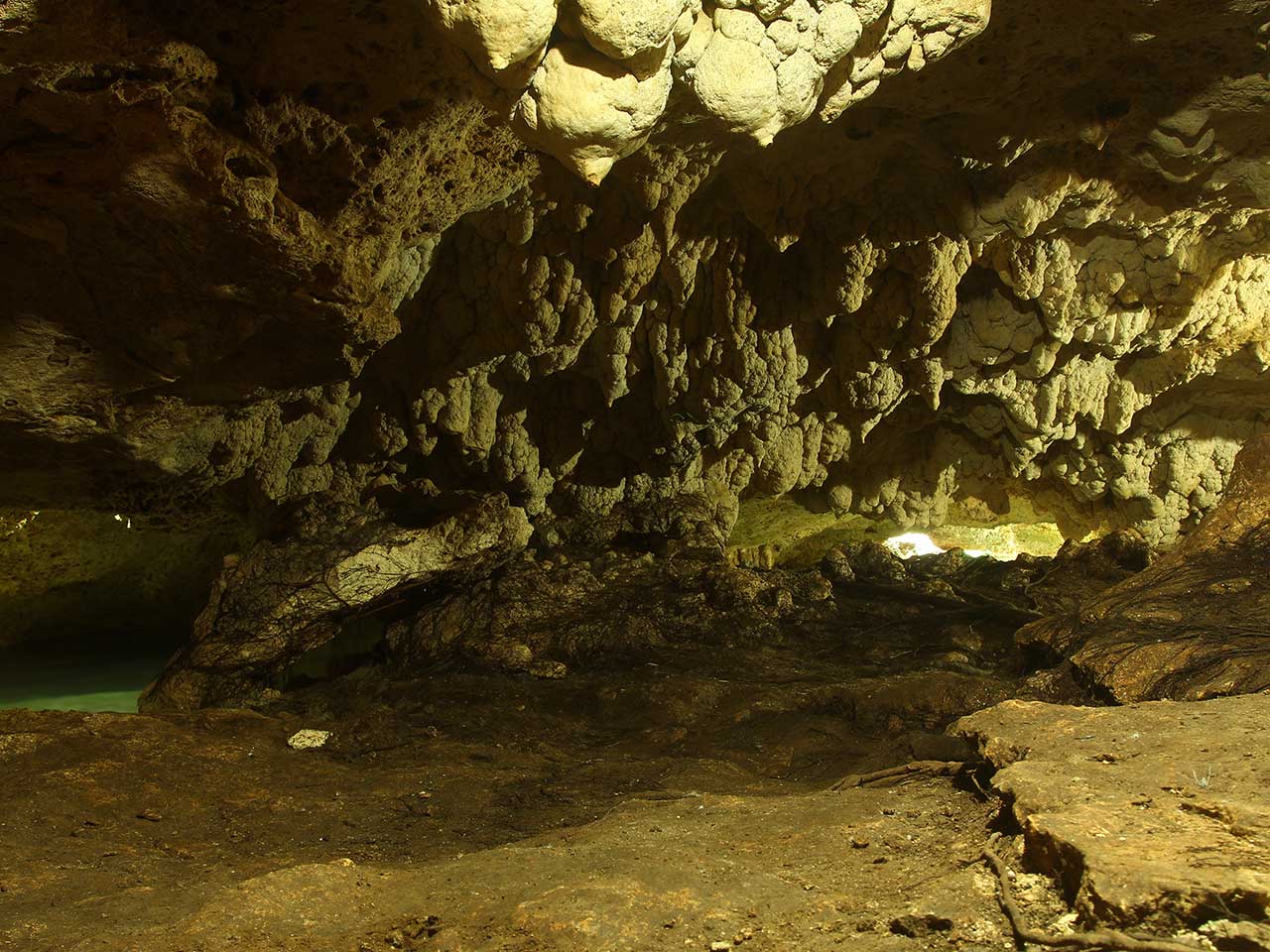 Cenote Boca del Puma