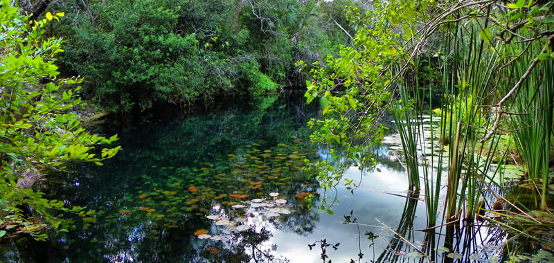 Cenote Car Wash o Aktun Ha