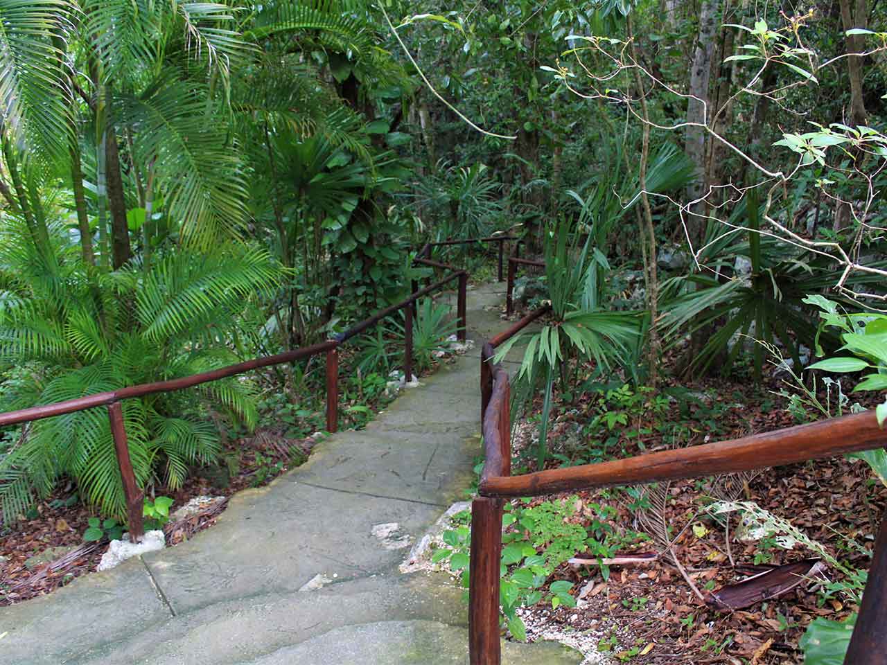 Cenote Chaak Tun
