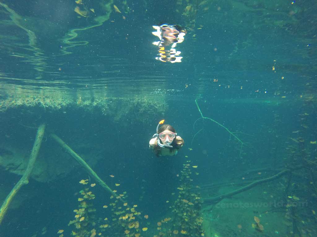 Cenote Cristal y Cenote Escondido 2x1