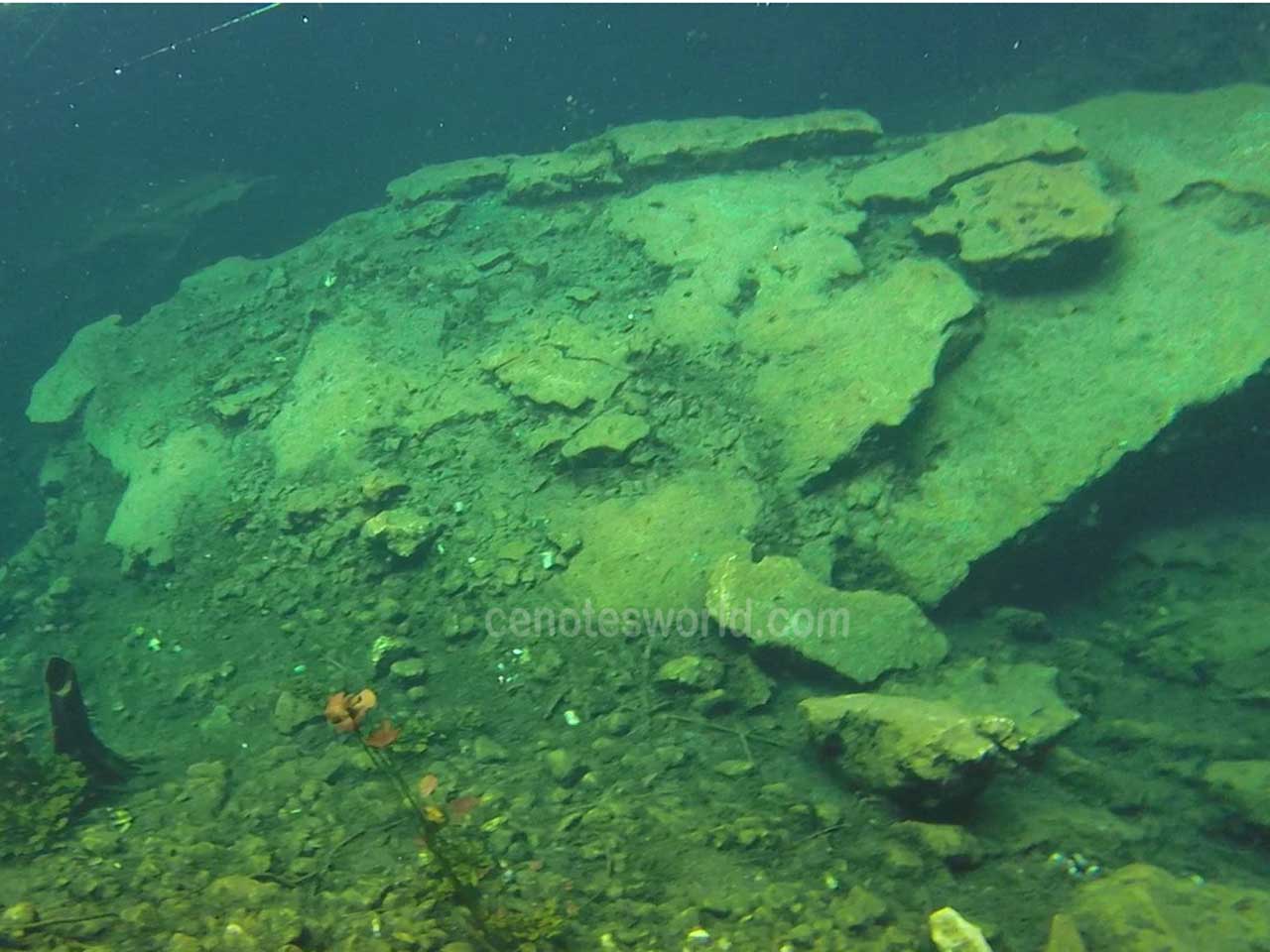 Cenote Cristal y Cenote Escondido 2x1