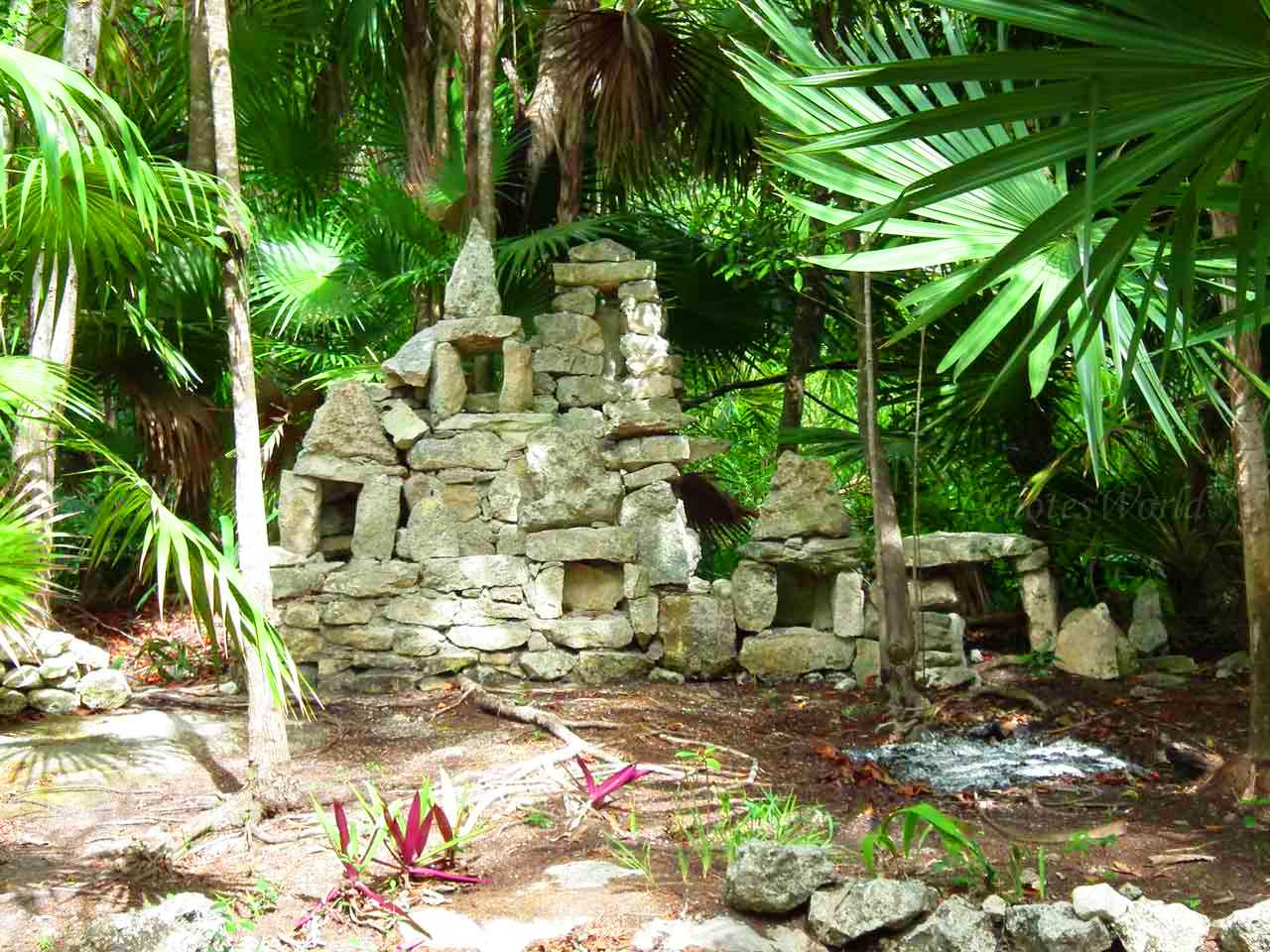 Cenote Cristal y Cenote Escondido 2x1