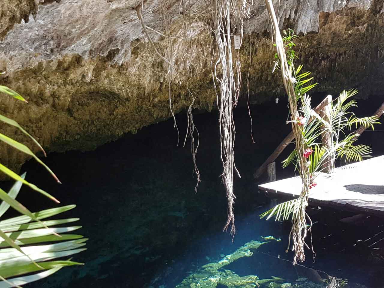 Cenote Dos Palmas