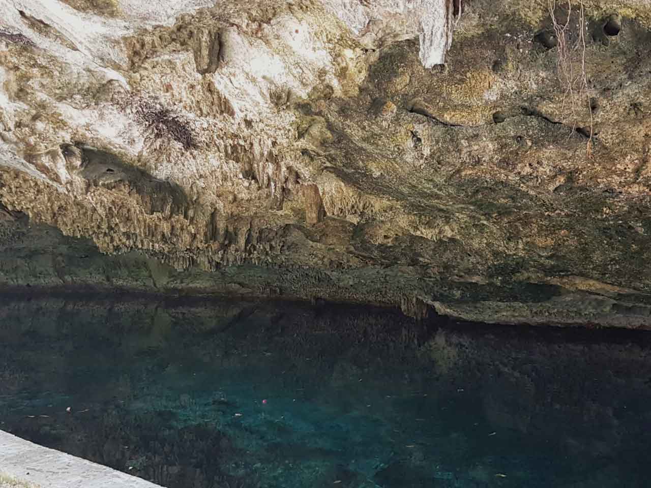 Cenote Dos Palmas