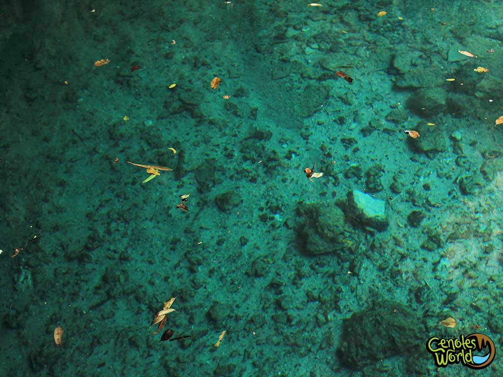 Cenote Dreamgate
