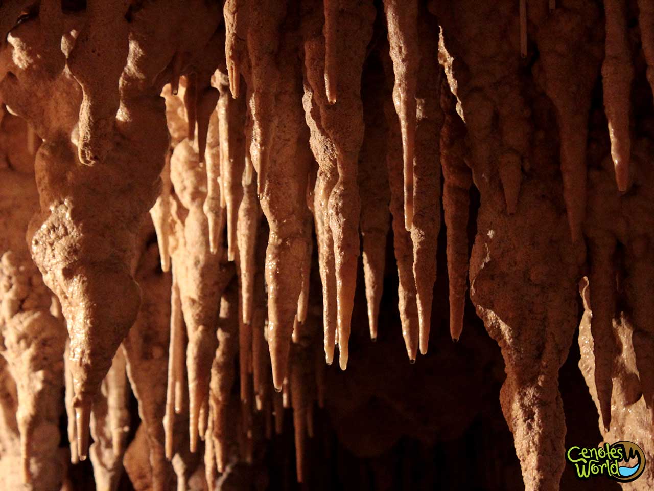 Cenote Golondrinas