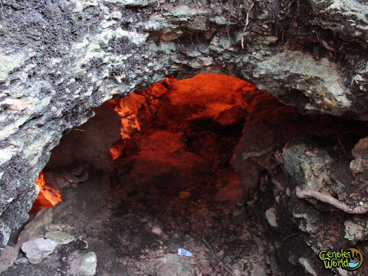 Cenote Golondrinas