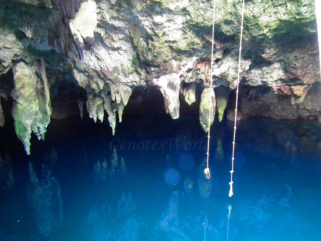 Cenote La Noria