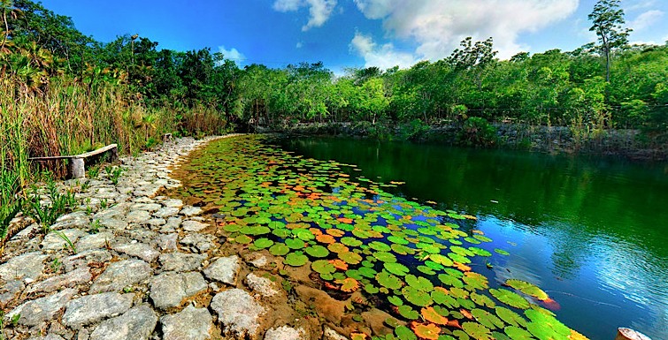 Cenote Las Mojarras