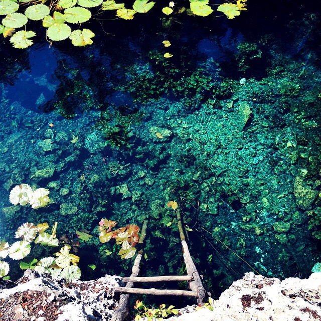 Cenote Nicte-Ha