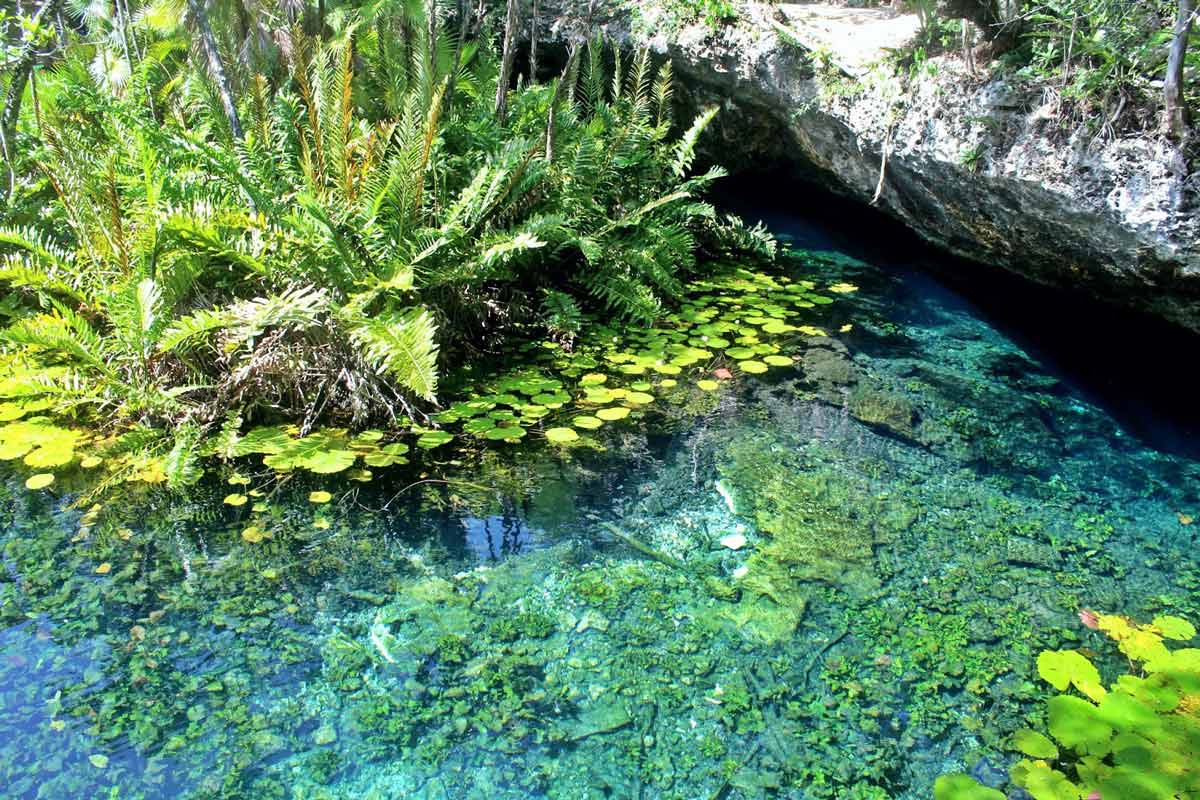 Cenote Nicte-Ha
