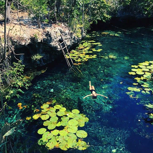 Cenote Nicte-Ha