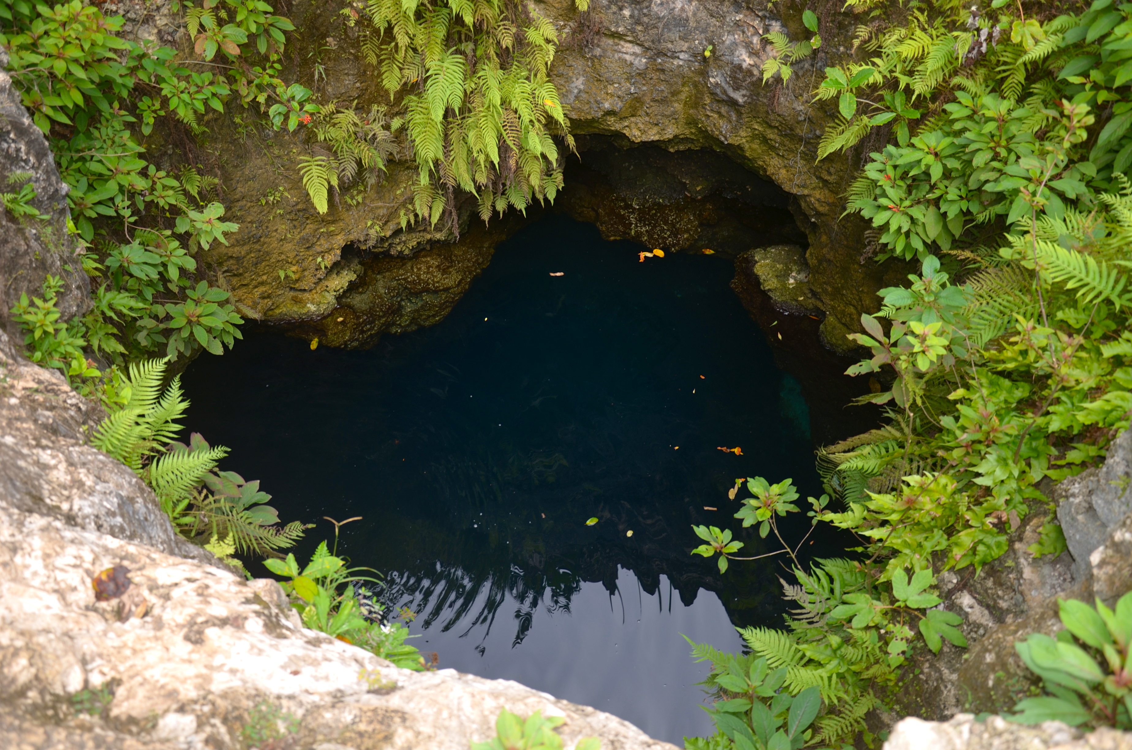 Cenote Siete Bocas