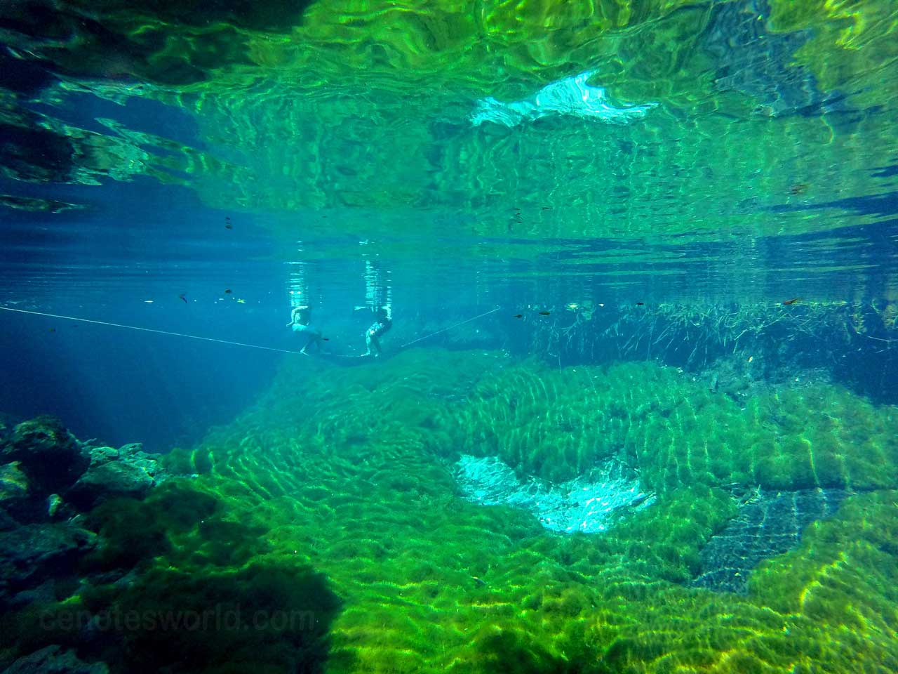 Cenote Xunaan-Ha
