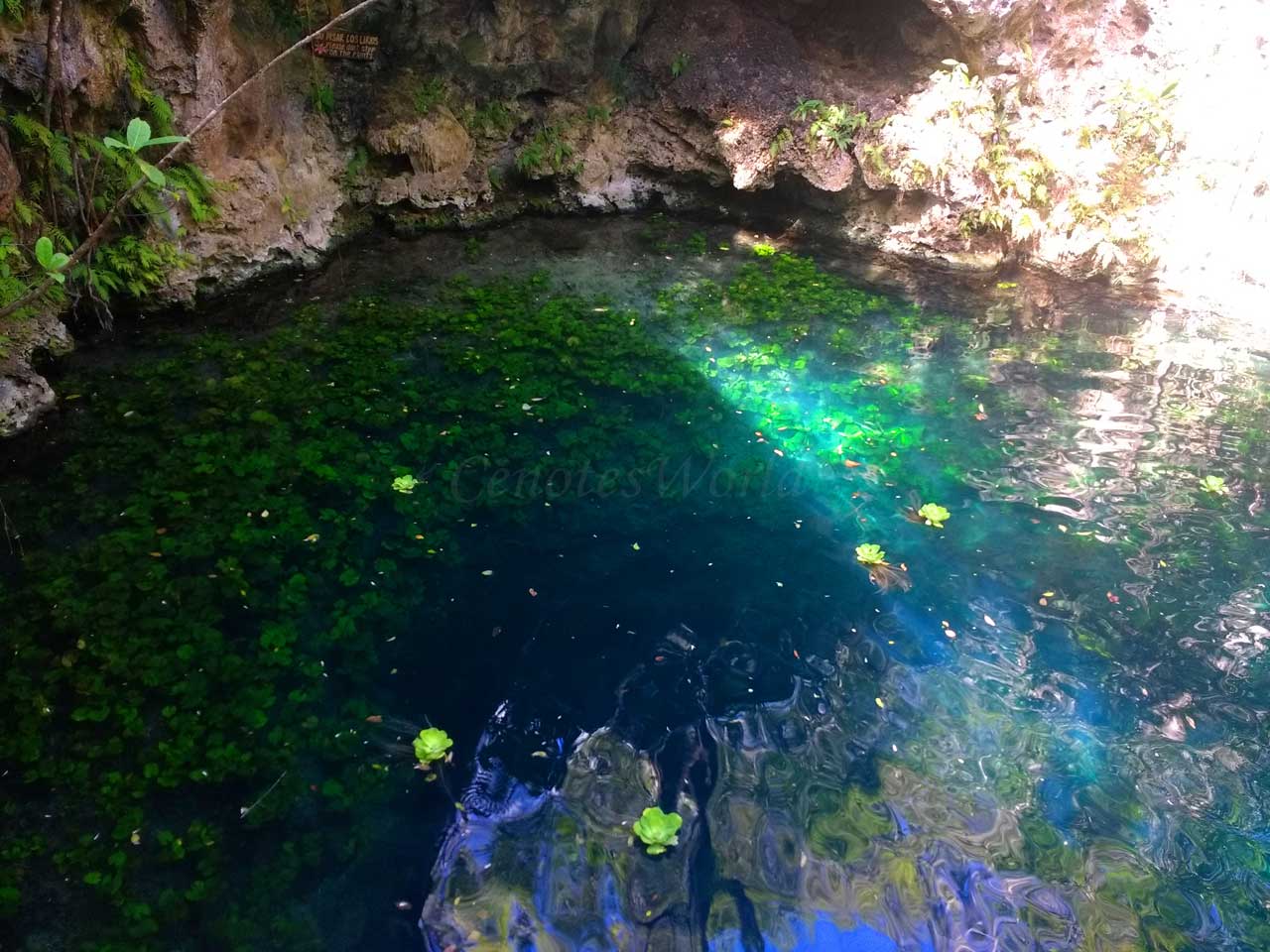Cenotes Zapote Eco-park