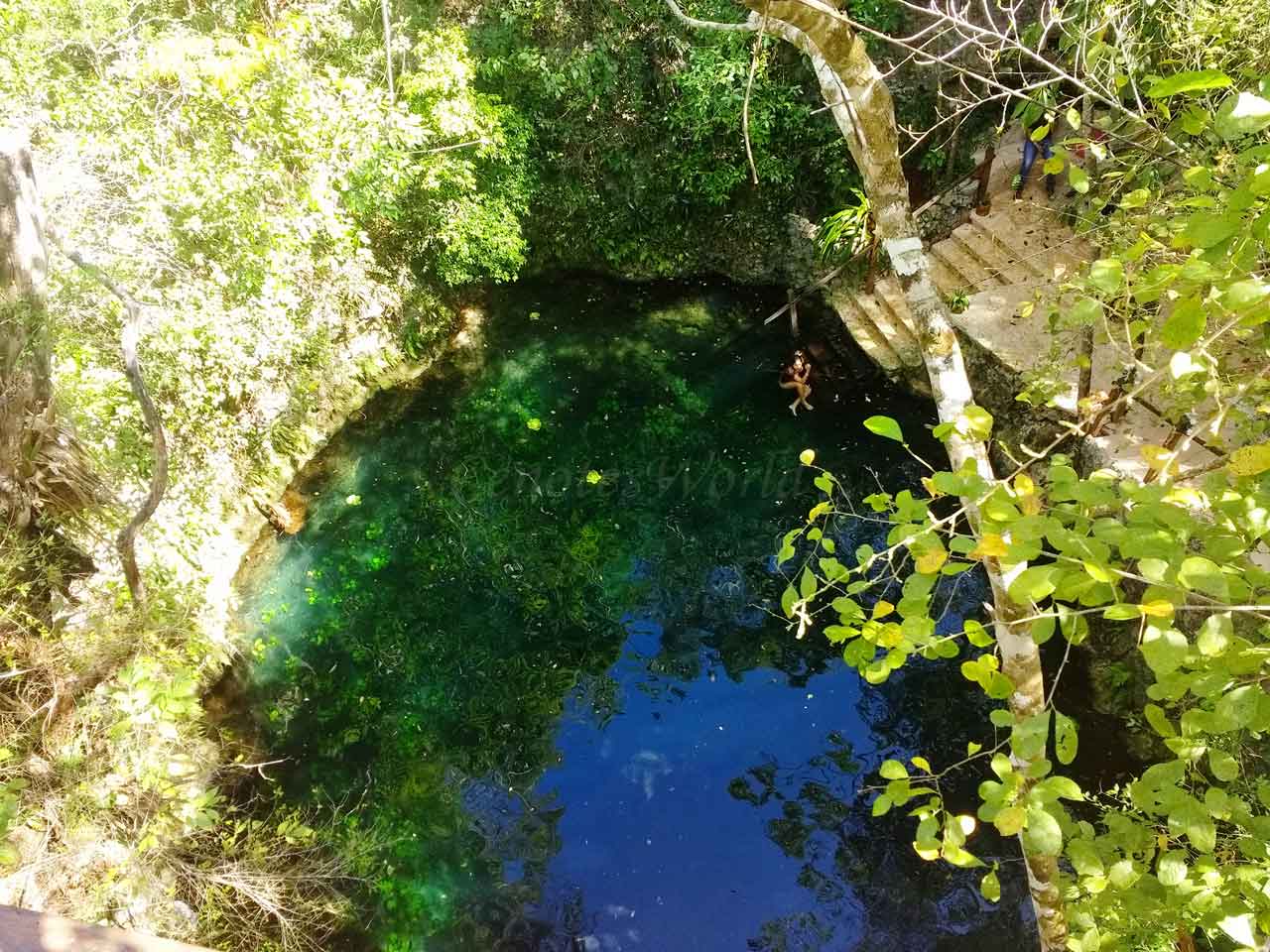 Cenotes Zapote Eco-park