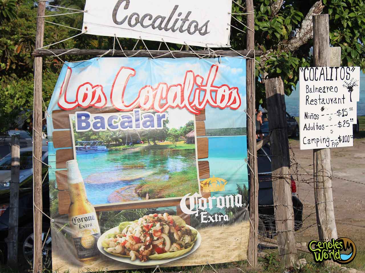 Cocalitos