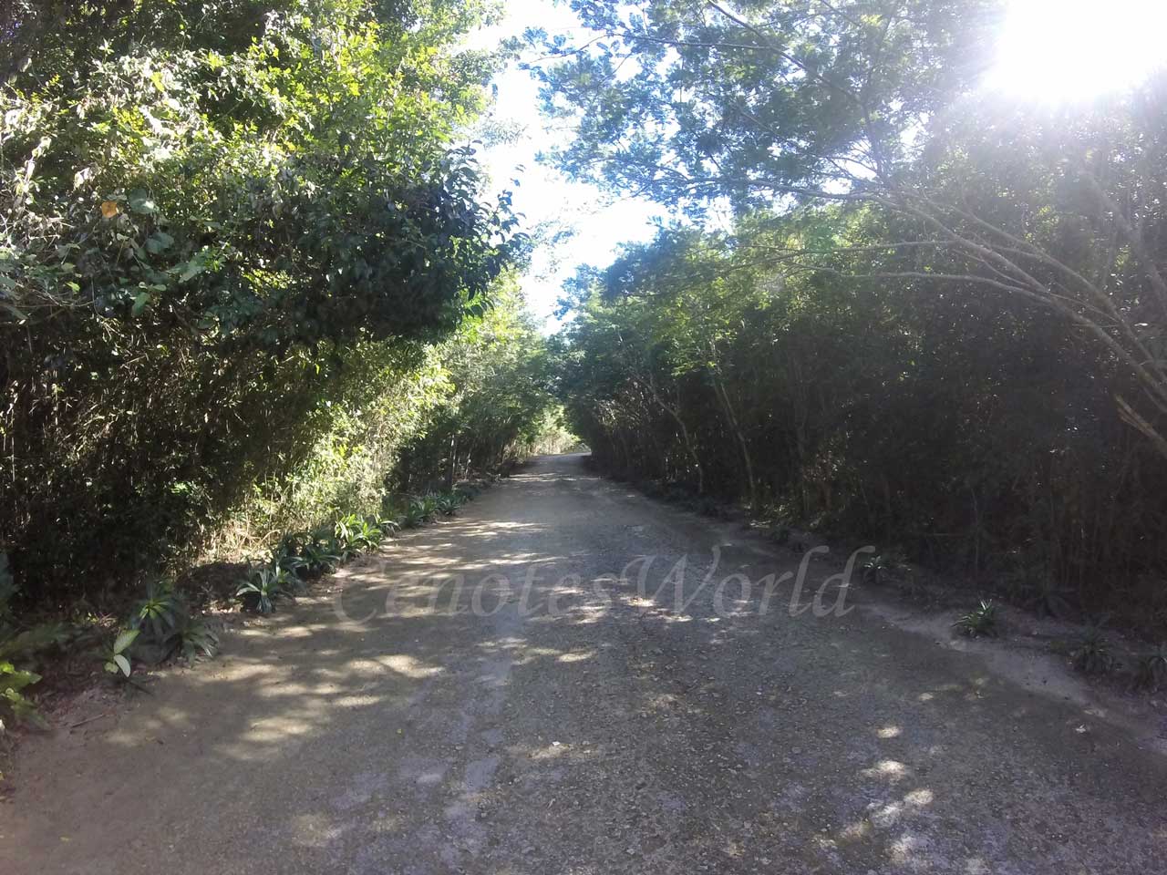 Laguna Kaan Luum