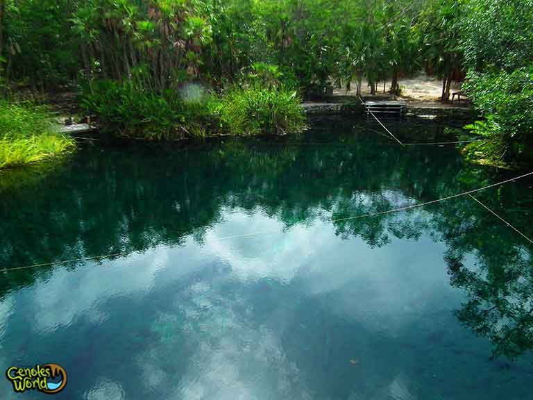 cenotes cielo abierto