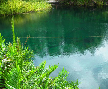 Cenote Cristal y Cenote Escondido 2x1