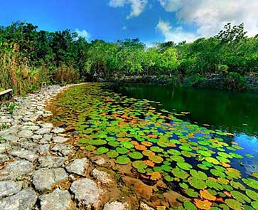 Cenote Las Mojarras
