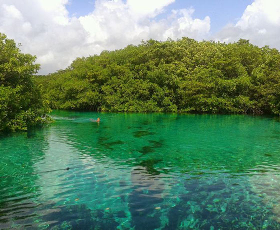 Snorkel en Cenote Manatí