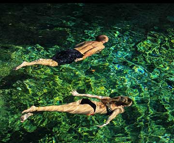 Cenotes Casa Tortuga