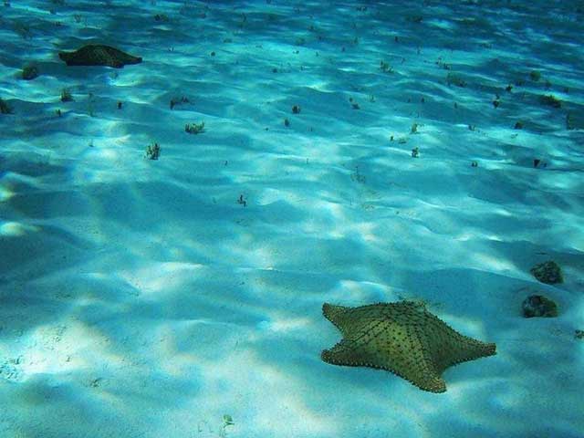 Cozumel